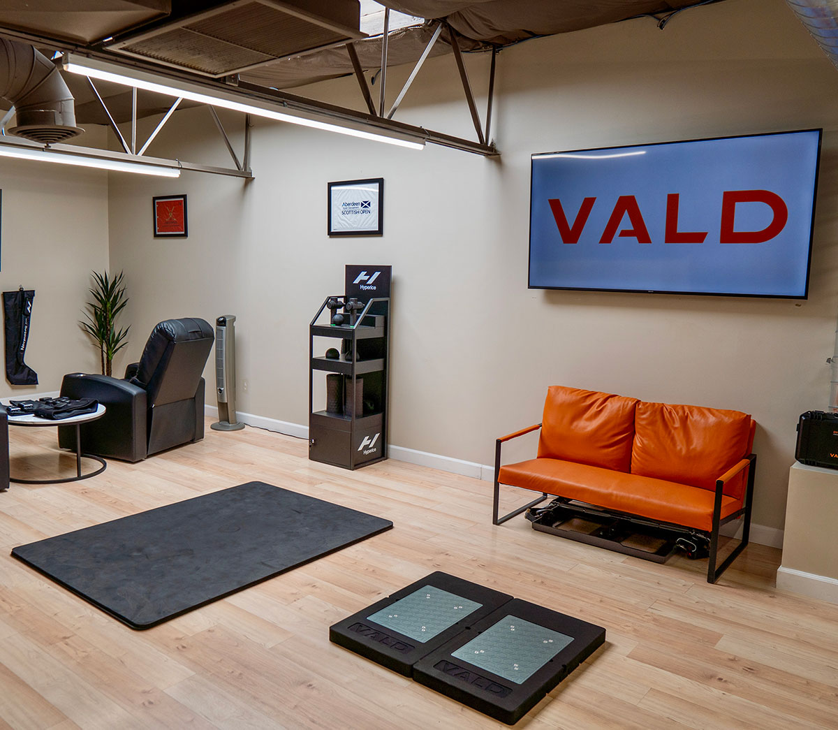 VLAD Virtual Custom Programs